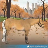 Horse Color:Silver Buckskin 