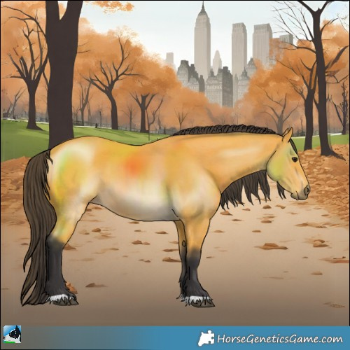 Horse Color:Buckskin
