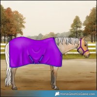 Horse Color:Silver Buckskin Roan 