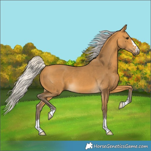 Horse Color:Silver Buckskin 