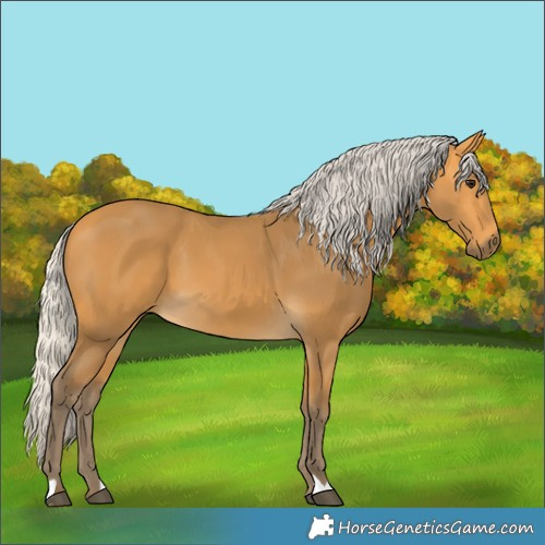 Horse Color:Silver Buckskin 