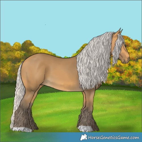 Horse Color:Silver Buckskin 