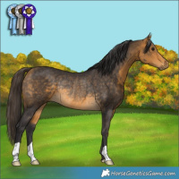 Horse Color:Buckskin Rabicano