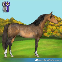 Horse Color:Buckskin Rabicano