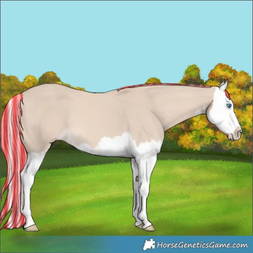 Horse Color:Painted White Spotted Cremello Splash 