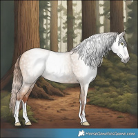 Horse Color:Gray White Spotted Gold Champagne Dun 
