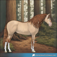 Horse Color:Gray White Spotted Gold Champagne Dun 