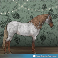 Horse Color:Liver Red Roan 