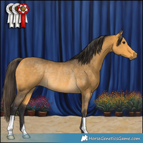 Horse Color:Buckskin Rabicano 