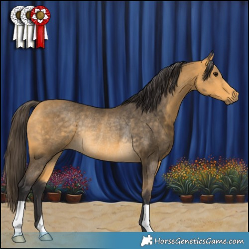 Horse Color:Buckskin Rabicano 