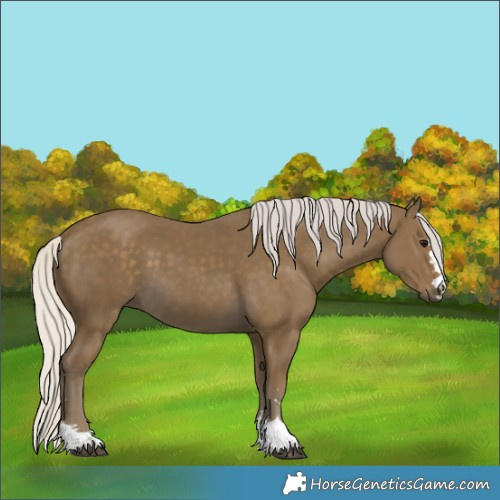 Horse Color:Silver Smoky Black