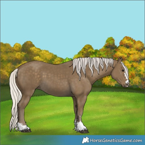Horse Color:Silver Smoky Black 
