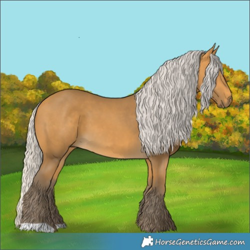 Horse Color:Silver Buckskin 