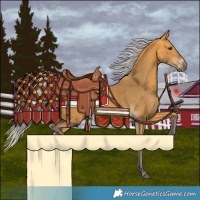 Horse Color:Silver Buckskin 