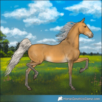 Horse Color:Silver Buckskin 