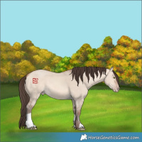 Horse Color:Amber Champagne Dun 