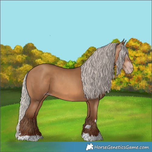 Horse Color:Gray Silver Sable Champagne 
