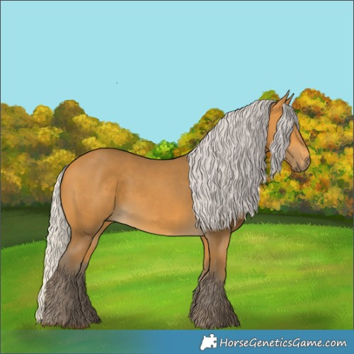 Horse Color:Silver Buckskin 