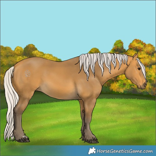 Horse Color:Silver Buckskin