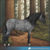 Horse Color:Blue Roan 