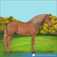 Horse Color:Chestnut 