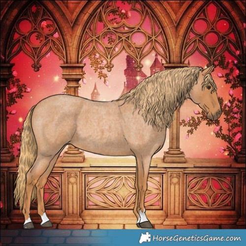 Horse Color:Red Roan 