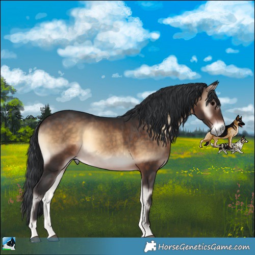 Horse Color:Brown Onyx 