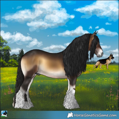 Horse Color:Gray Brown Onyx Tobiano 