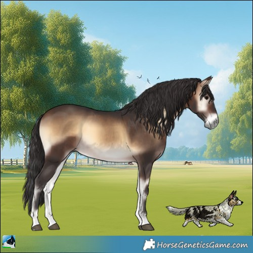 Horse Color:Brown Onyx