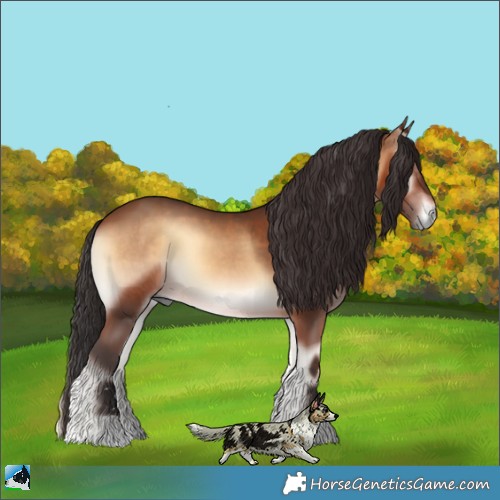 Horse Color:Brown Onyx 