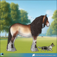 Horse Color:Brown Onyx