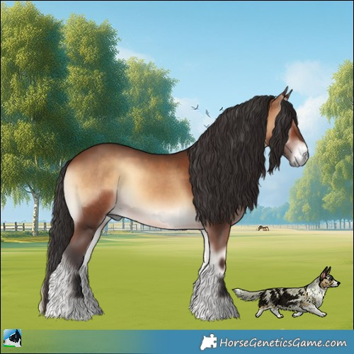 Horse Color:Brown Onyx Rabicano 