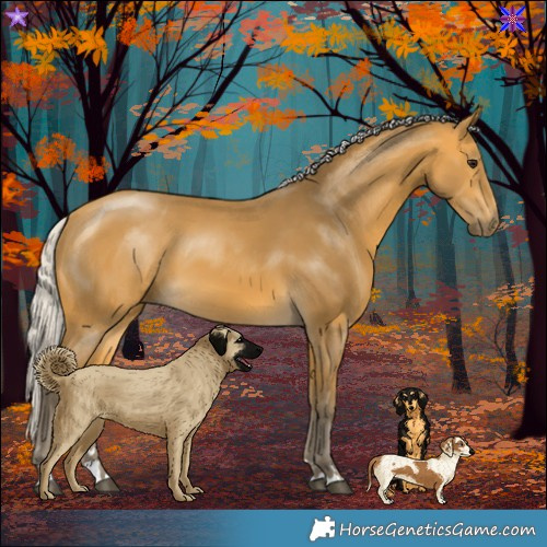Horse Color:Silver Buckskin