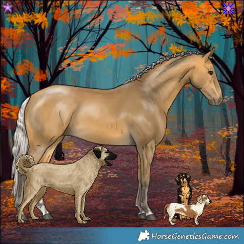 Horse Color:Silver Buckskin 