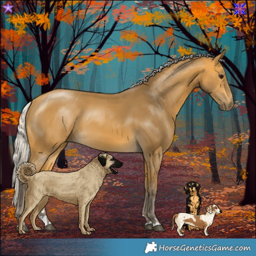 Horse Color:Silver Buckskin 