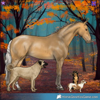 Horse Color:Silver Buckskin 