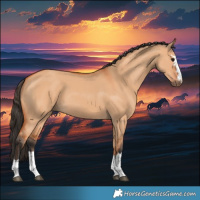 Horse Color:Bay Dun 