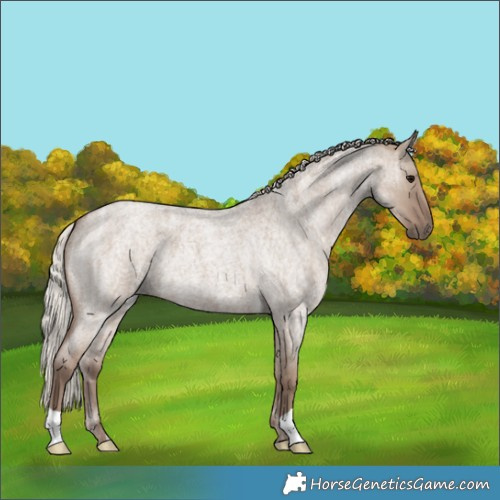 Horse Color:Silver Grullo Ice Roan 