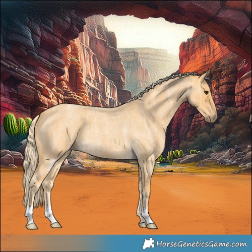Horse Color:Palomino Ice Roan 