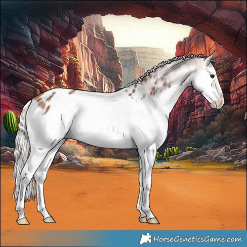 Horse Color:Silver Brown Ice Splash Appaloosa 
