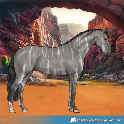 Horse Color:Grullo Ice 
