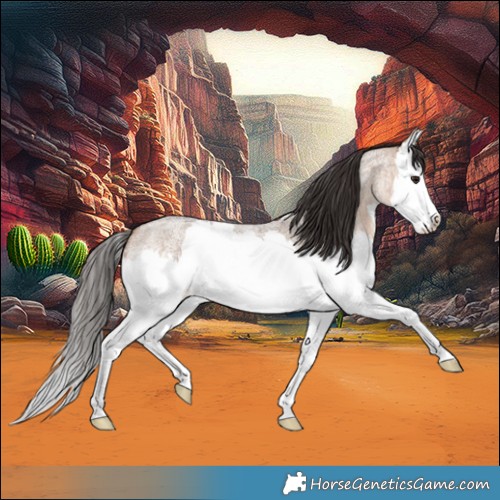 Horse Color:Brown Roan Dun Splash 