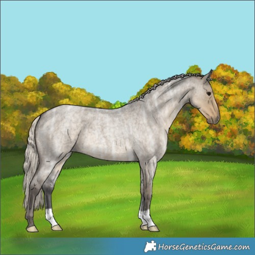 Horse Color:Silver Smoky Grullo Ice Roan 