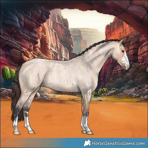 Horse Color:Bay Ice Roan Dun 