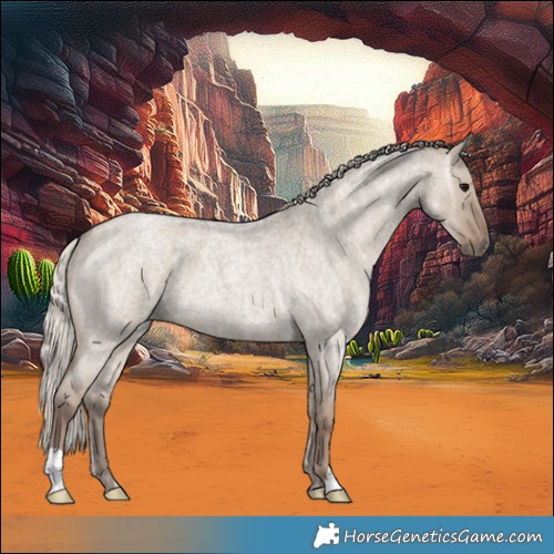 Horse Color:Silver Grullo Ice Roan 