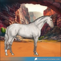 Horse Color:Silver Grullo Ice Roan 
