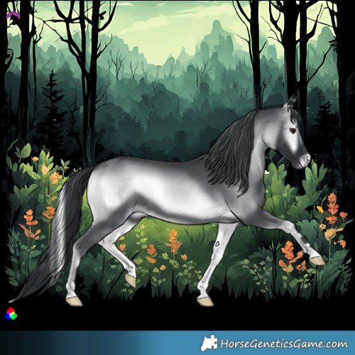 Horse Color:Blue Onyx Chinchilla 