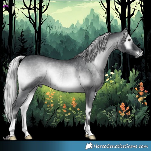 Horse Color:Silver Blue Onyx Chinchilla 