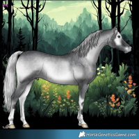 Horse Color:Silver Blue Onyx Chinchilla 