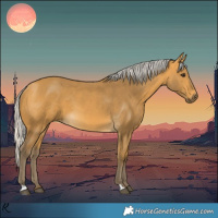 Horse Color:Silver Buckskin 